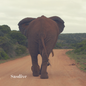 Omslagfoto HABECOM & AVG